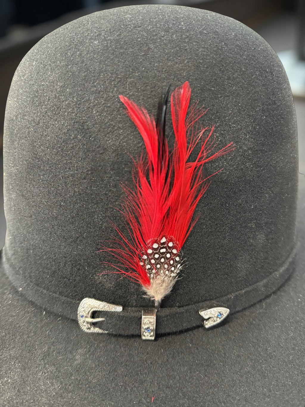 HAT FEATHER SINALOA