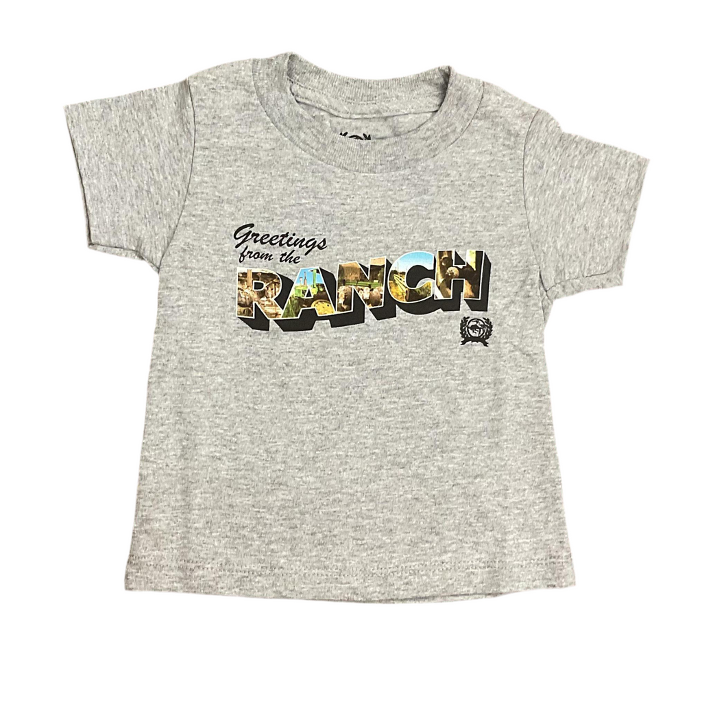 BOYS SHORT SLEEVE TEE HEATHER GRAY CINCH | MTT7671077