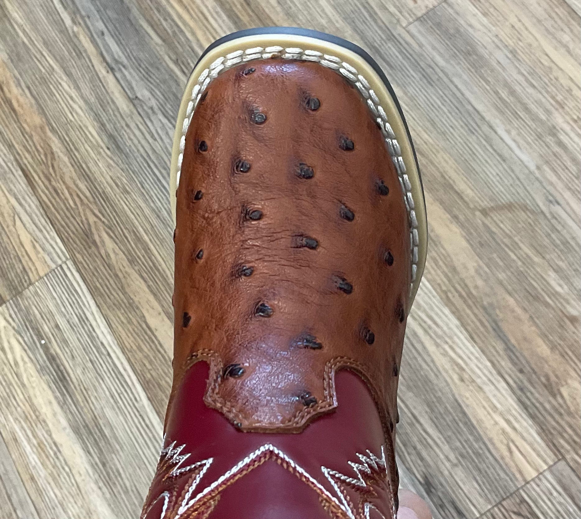 Twisted X Luca Boots |443010004
