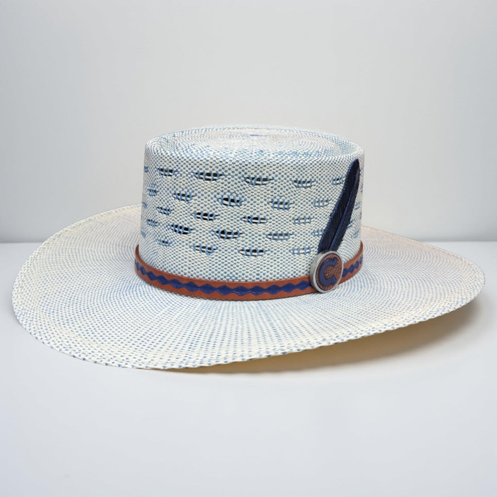 CHARLIE 1 HORSE BLUE ROAN