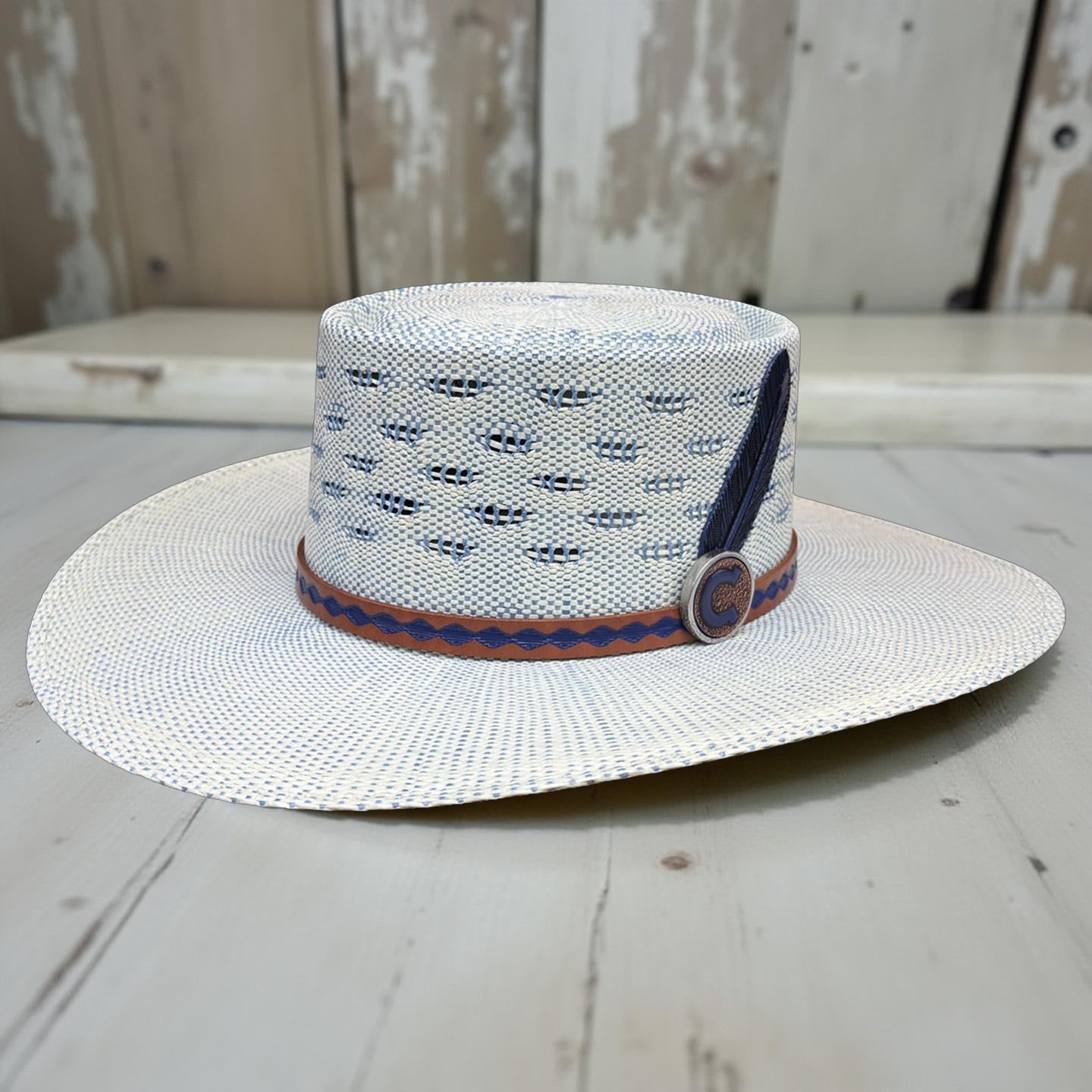 CHARLIE 1 HORSE BLUE ROAN