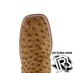 ORIGNAL -OSTRICH UMBER | MEN WESTERN  SQUARE TOE MEN BOOT Arango