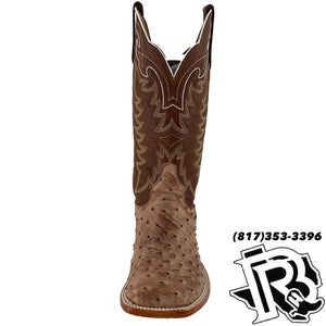 OSTRICH ORIGNAL | TONY LAMA MEN BOOTS HAYS FULL QUILL