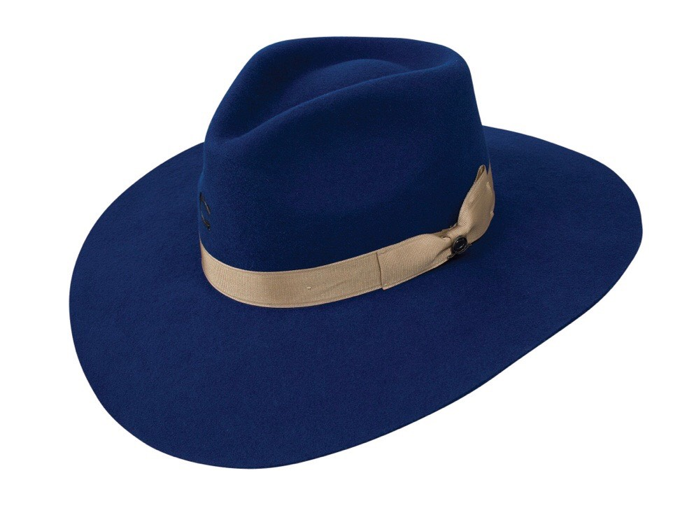 Charlies 1 Horse Women's Royal Blue Highway Hat
