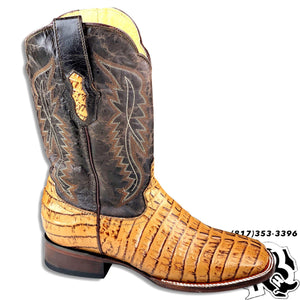 CAIMAN TAIL PRINT | HONEY RUSTIC FINISH SQUARE TOE BOOTS MOH347