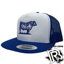 Load image into Gallery viewer, STEER EDITION | BR CAP ROYAL/WHITE/ROYAL