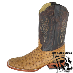 ORIGNAL -OSTRICH UMBER | MEN WESTERN  SQUARE TOE MEN BOOT Arango