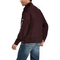 Load image into Gallery viewer, team logo 1/4 zip sweatshirt (10032948)