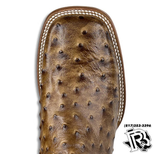 HONEY -OSTRICH PRINT | MEN SQUARE TOE WESTERN COWBOY BOOTS