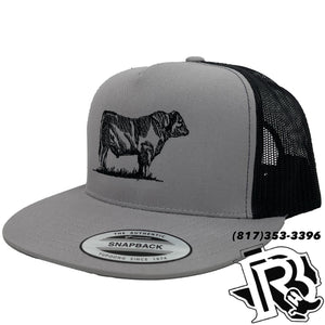 STEER EDITION  | BR CAPS