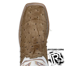 Load image into Gallery viewer, OSTRICH ORIGNAL | JUSTIN BOOTS ANTIQUE TAN | 8572