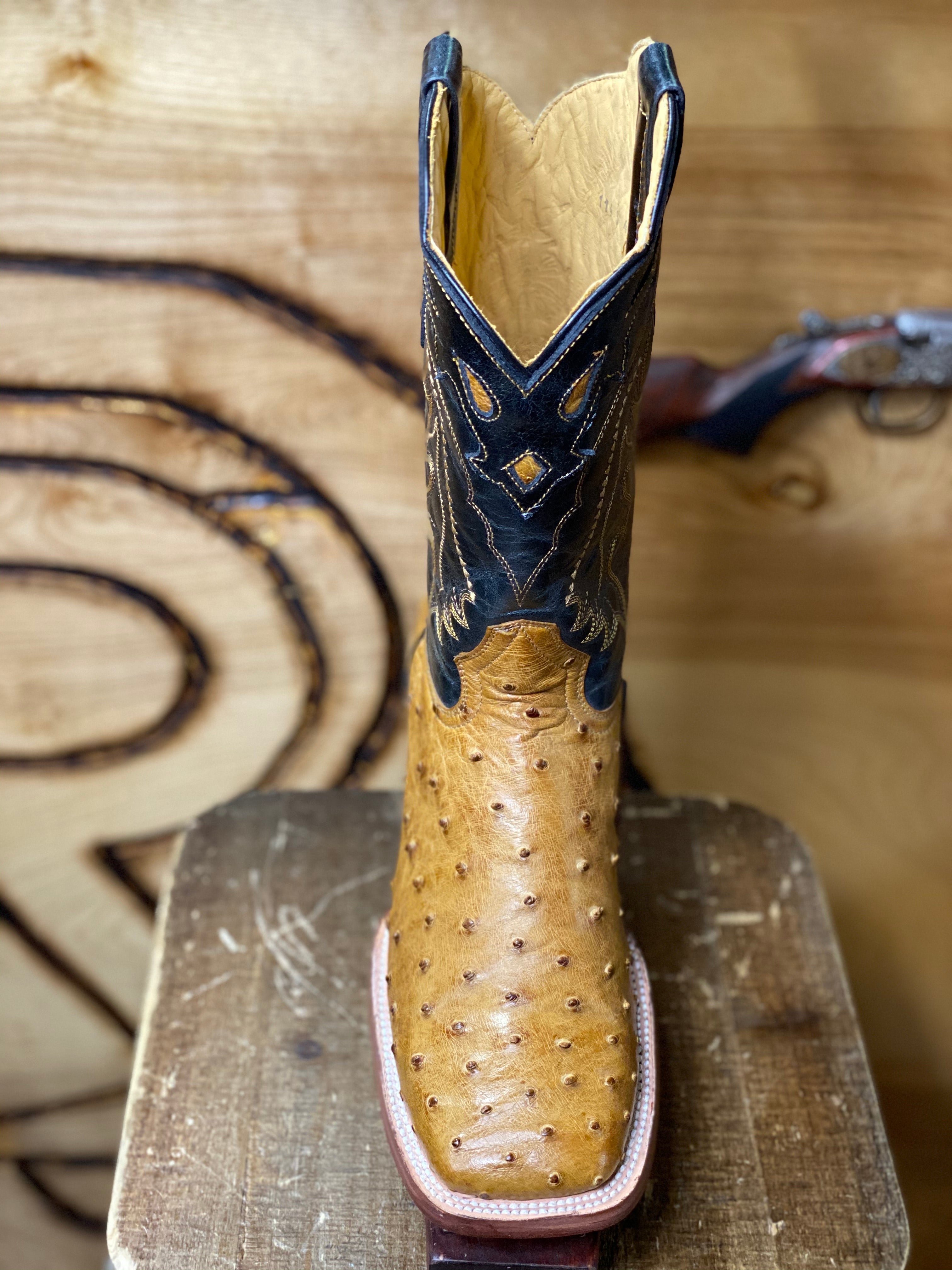 ORIGINAL OSTRISH: Ant Saddle