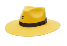 Load image into Gallery viewer, Charlie 1 horse