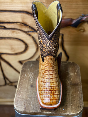 BR BOOTS : CAIMAN HORNBACK TAN SQUARE TOE BOOTS