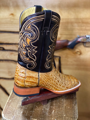 BR BOOTS : CAIMAN HORNBACK TAN SQUARE TOE BOOTS