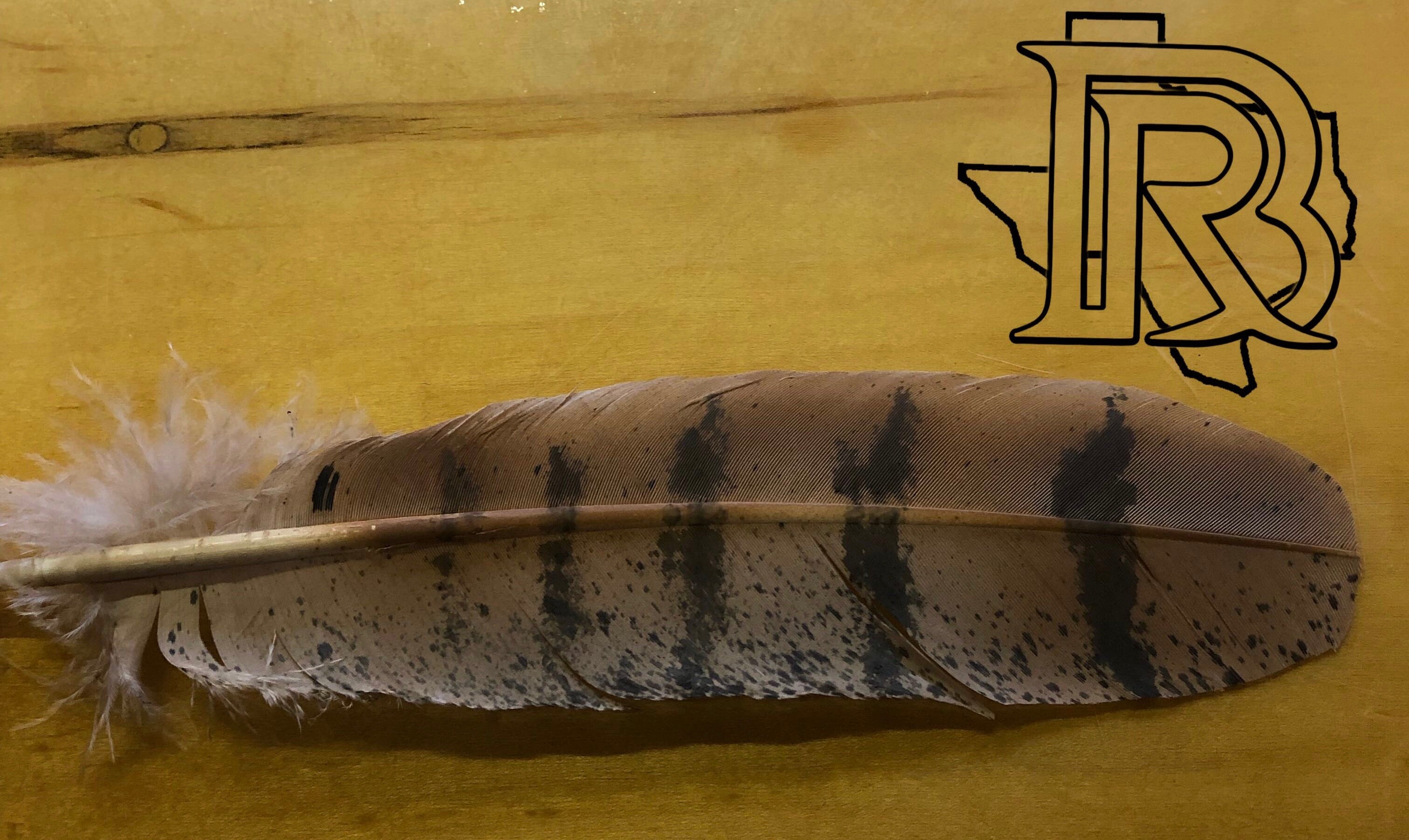 BR FEATHER: LIGHT BROWN WITH BLACK