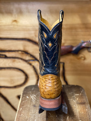 ORIGINAL OSTRISH: Ant Saddle