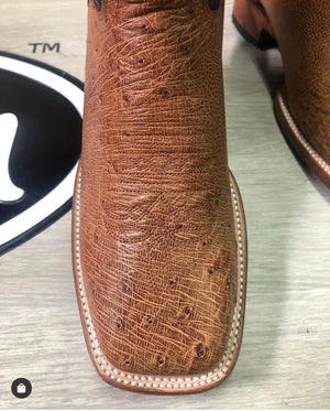 OSTRICH BELLY COGNAC ARANGO